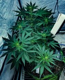 470AEB98-1BDB-49CB-8AE8-64B893A42C66