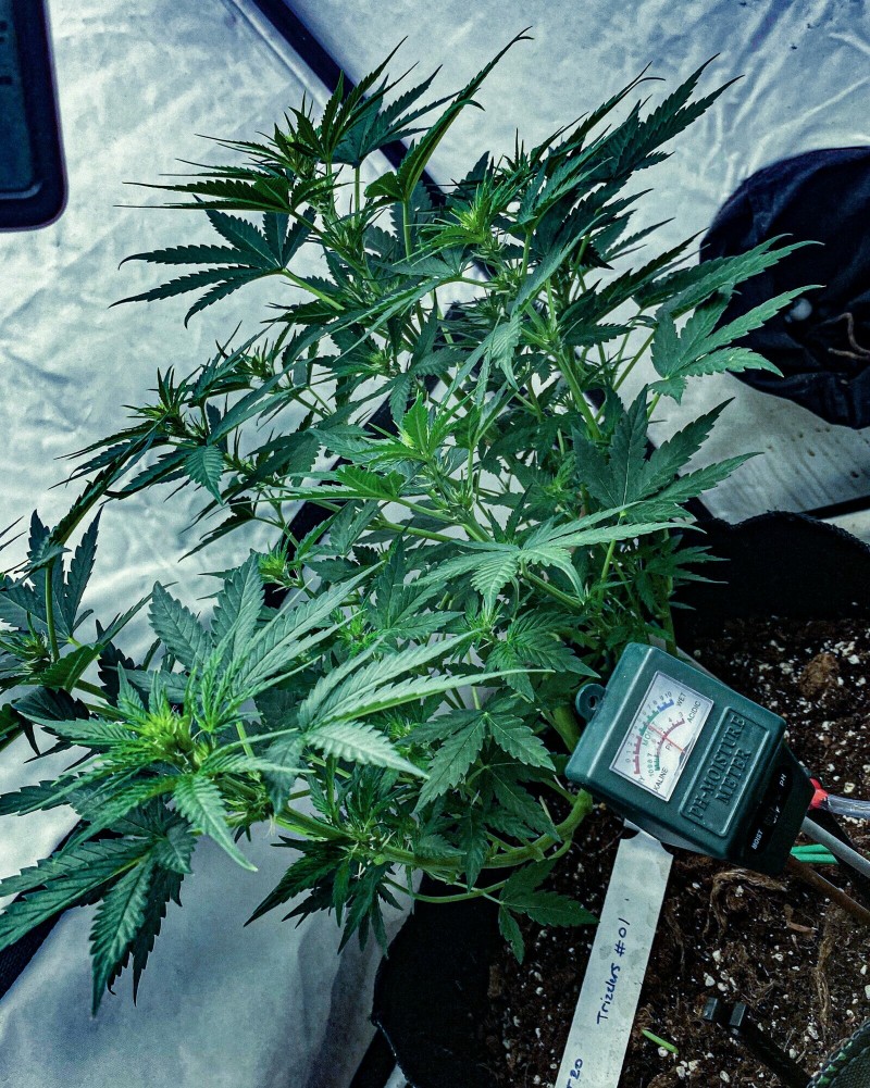 C9DA7C57-9A04-45A6-A1D7-20DAADA0A252