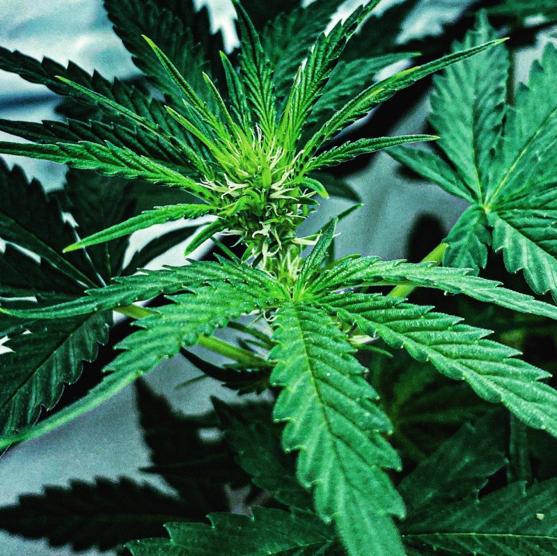 EBD589FE-E7B9-43B1-90D6-DED7F115D8B1