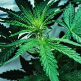 EBD589FE-E7B9-43B1-90D6-DED7F115D8B1