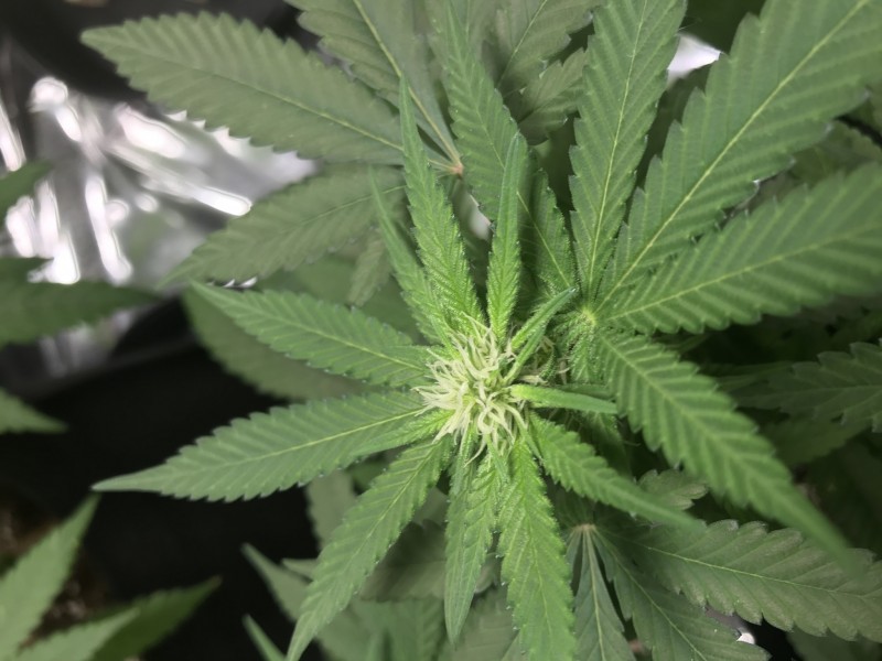 5D7F1975-150A-41ED-910E-E4E3CDDCBEA6