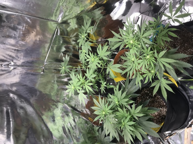 D657706F-9A41-491A-A4E4-D1A77AAA7560