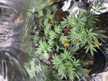 D657706F-9A41-491A-A4E4-D1A77AAA7560