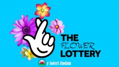 A1EC87BC-F7DC-42D6-B36A-C67BD20084A9