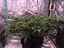 864CFA87-0F9F-4631-8A91-750FA8DF70DB