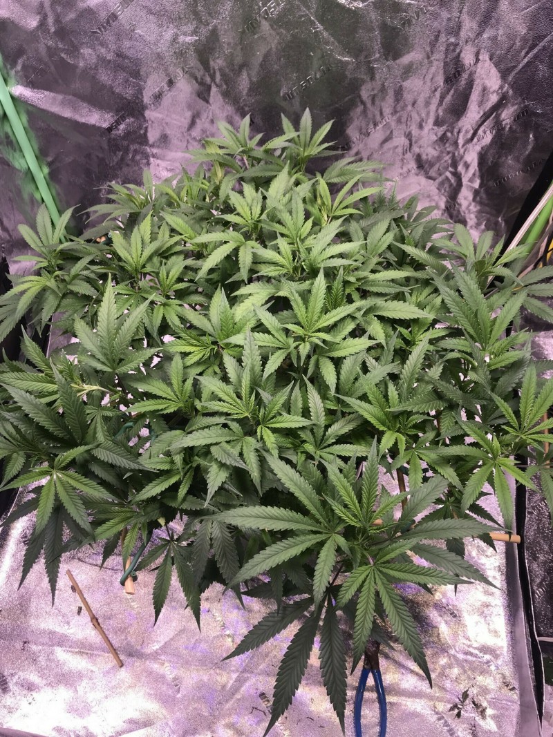 796109BB-AA24-4836-9C4A-B2720FE9659E