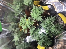 731059CB-3AFD-4706-9C15-52EEDDBB8545