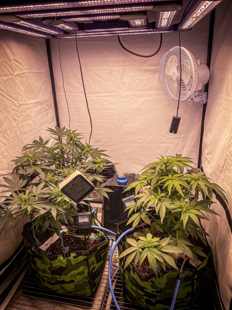 8E6719E1-2CAF-4DAF-92C1-8ACD379BA8A8