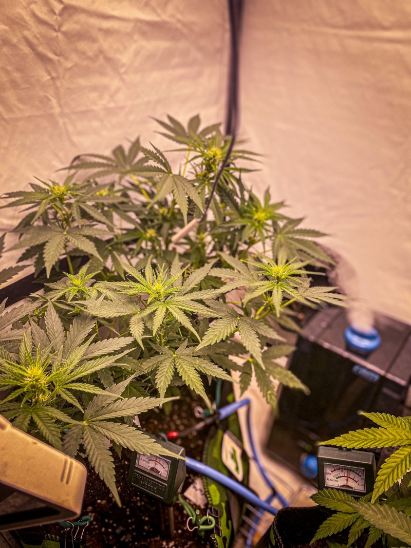 6A0CDAC2-415D-423E-A7E1-A7AB071CDF21