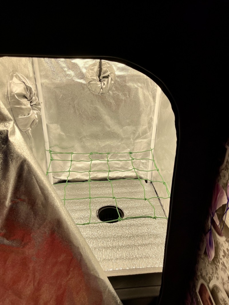 A5E47982-AB80-45E6-AB15-06C516F813AB