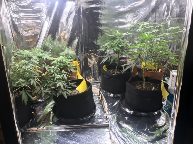 A28595AA-DE3C-443E-83C7-B7956486C297