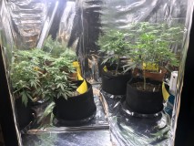 A28595AA-DE3C-443E-83C7-B7956486C297