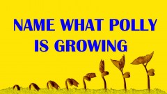 74294C8A-C458-45AD-B0EF-4027FAEBF848