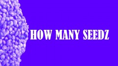 83B65F22-0BD2-4258-AB6A-578C94387AA1