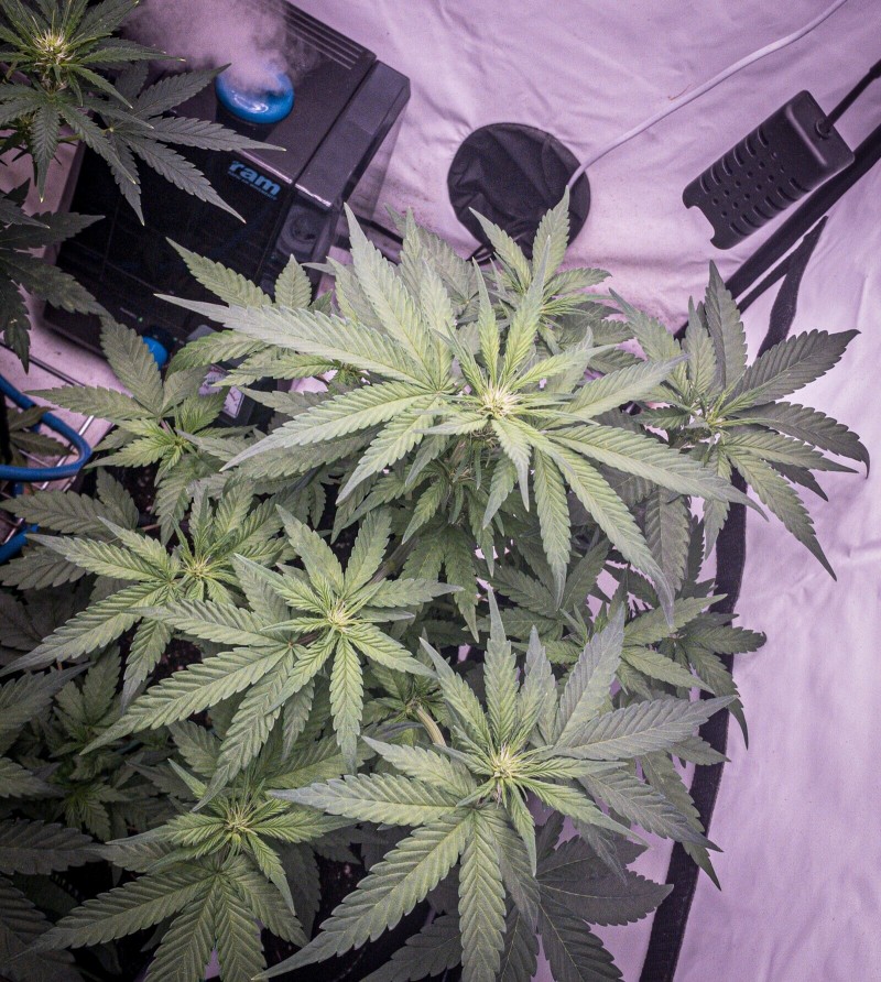 B29AFF6A-F515-4534-ACB0-8B8C54D5B11C