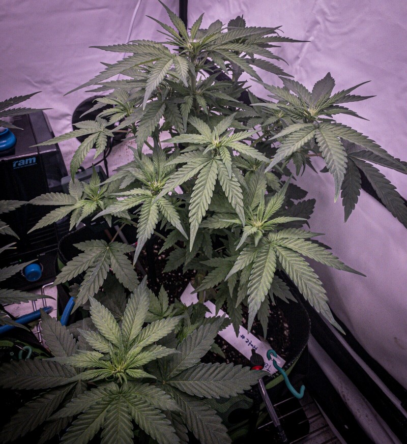 C37EDC54-9F98-4ECD-8C4F-02FD0F6781C1