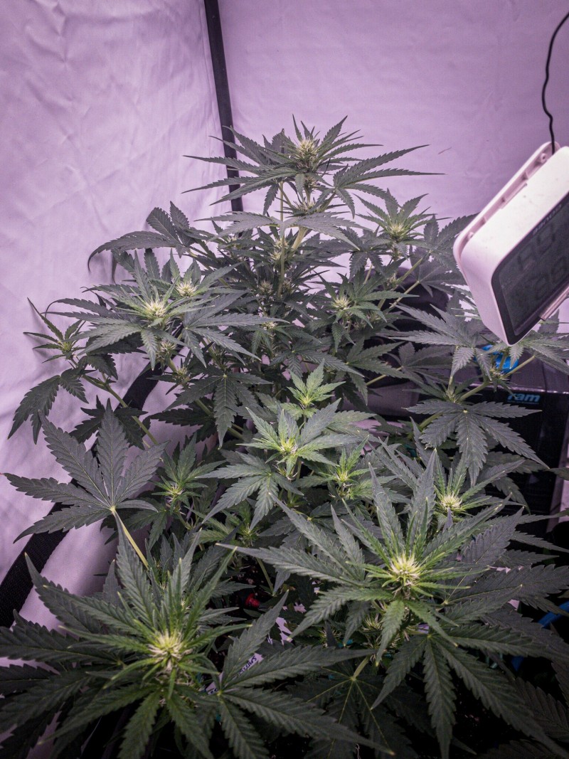 D0FB0D1E-38C5-48E2-960E-42754CFAF7EB