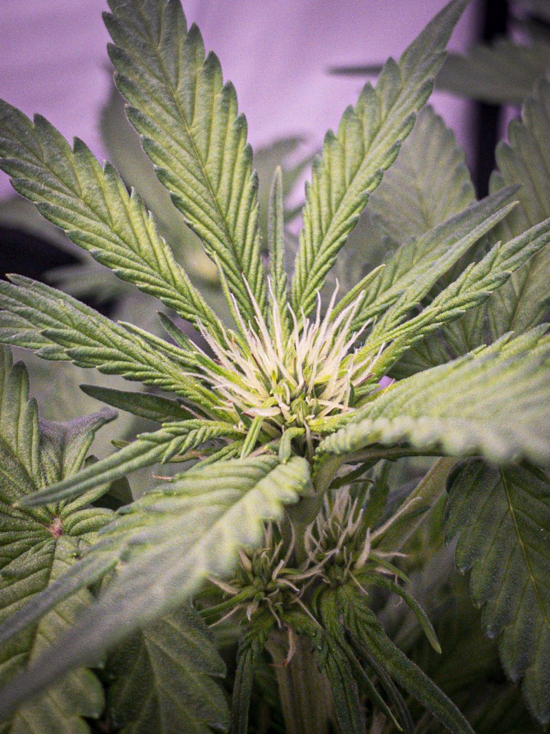 28426C88-4E57-41E2-80AC-CE5633CB1F4A