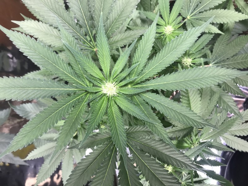 AAE3CAC8-2CB6-4113-848A-32DA1FBCFC99