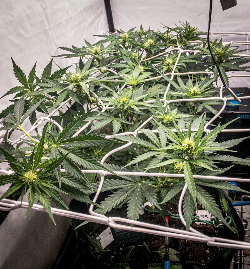 33DA08FD-F8E8-4DD8-9910-AA65E3AF2D68