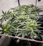 33DA08FD-F8E8-4DD8-9910-AA65E3AF2D68