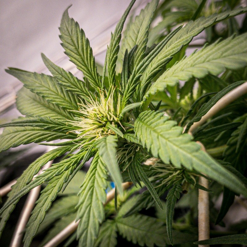 ED28CFEB-270F-4FD2-805A-51EA32C1914D