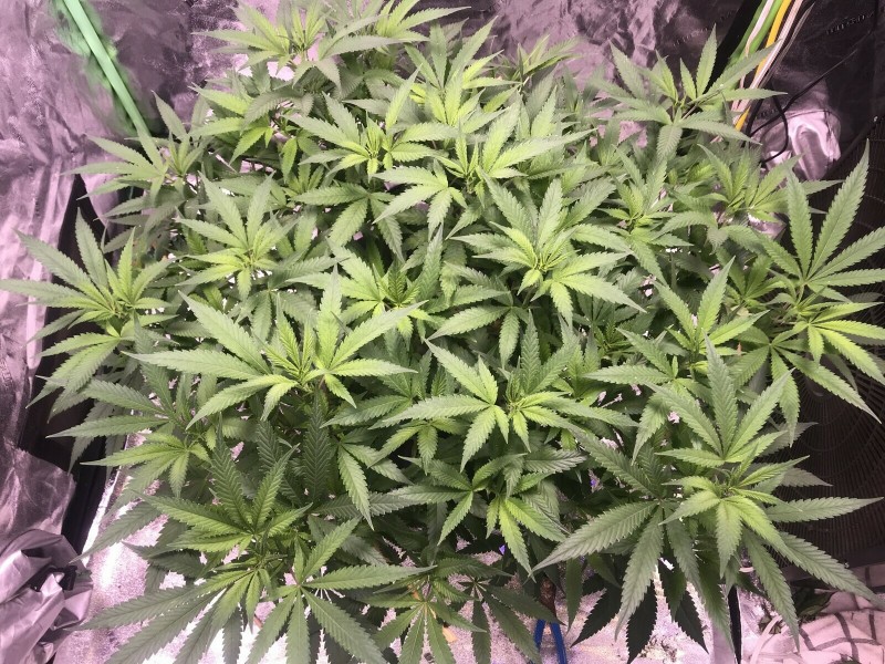 5A619AA0-93EC-46C2-9961-BD71DBDDA8DB