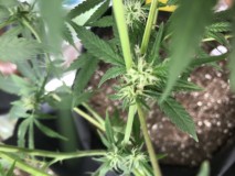 E8C9073A-E76B-4F54-9EF5-6AB1F60F5900