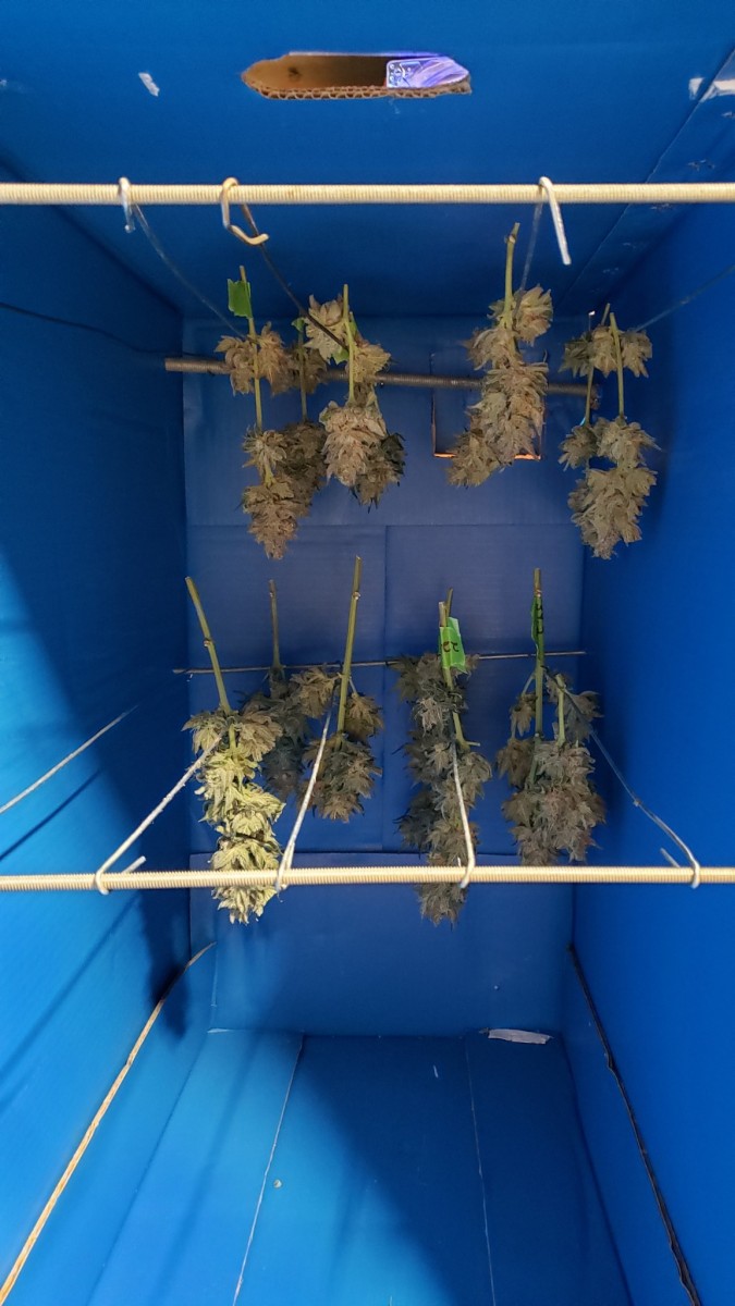 16250097424395187211234681232220