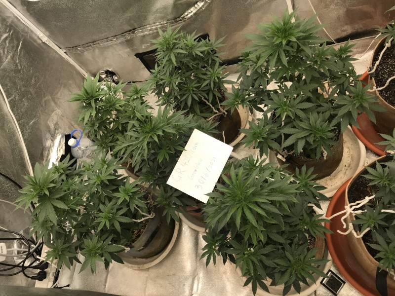 2DA41319-C777-4DEB-9B5F-163261437C9C