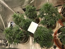 2DA41319-C777-4DEB-9B5F-163261437C9C