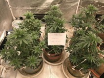 A54502E9-BD4D-4829-AEF9-A48F74E9F9A6