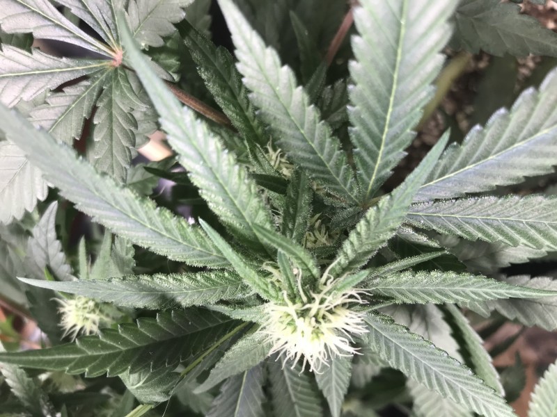 900CE9C2-7DFA-4538-855D-25271FCDF261