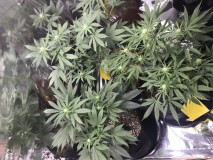 B9A5FE6B-386E-4CA4-B5FB-C7FEC279CF15