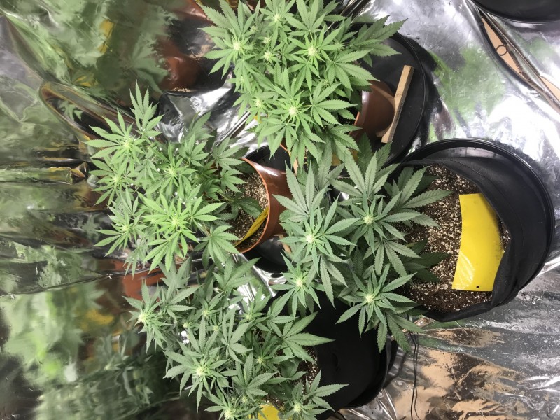 EC46EC91-886E-4A01-ACB8-4017335DE076