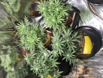 EC46EC91-886E-4A01-ACB8-4017335DE076