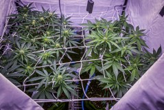 D9EF600C-730C-41E9-B125-0350D82BA07D