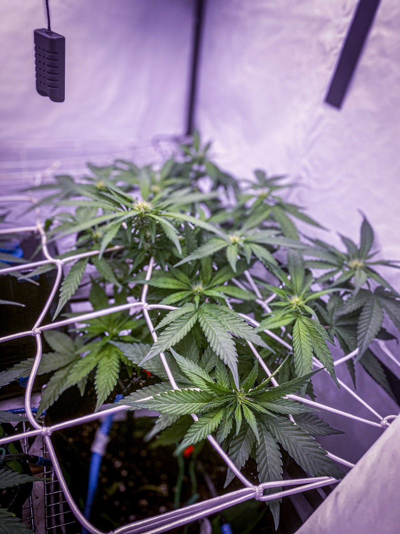 89AF96F7-C810-47A1-B7FF-486C5DCB9F05