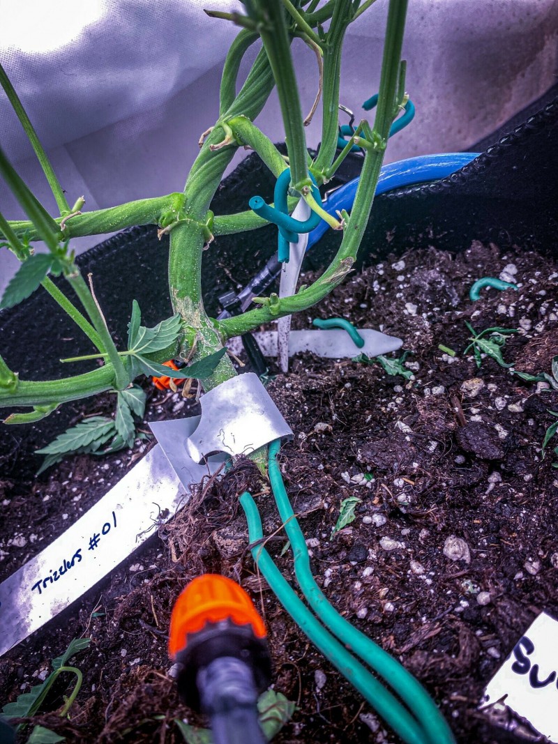 F5023AA7-3ADD-4879-A540-89E53FBE33AE