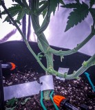 1994C72A-DEFF-44AD-B8F3-0B71B1BB6451