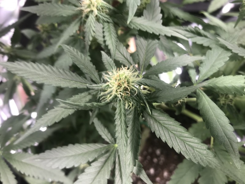 39F45EFB-C7EE-426A-A0D8-BBE1FA64C49C