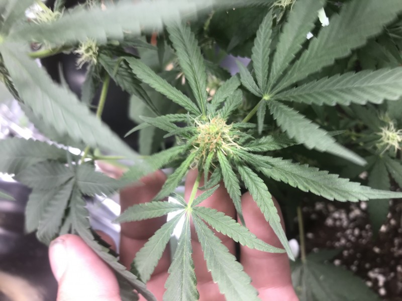 2662C039-40DA-42A1-A0FB-326803EFBA3C