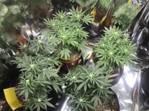 50ECB7FA-5BA7-4D58-8C60-F3C99498B4B1