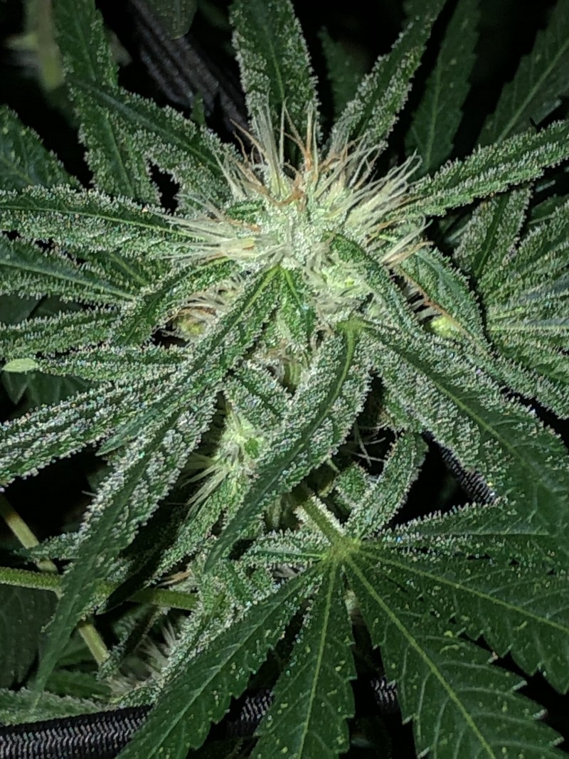 2E7EE027-59FD-497B-A7A7-D0B049644417