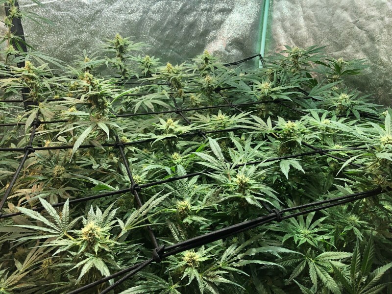 94EA5F8D-EB94-4FC2-8E4A-6B4EA4EBF23D