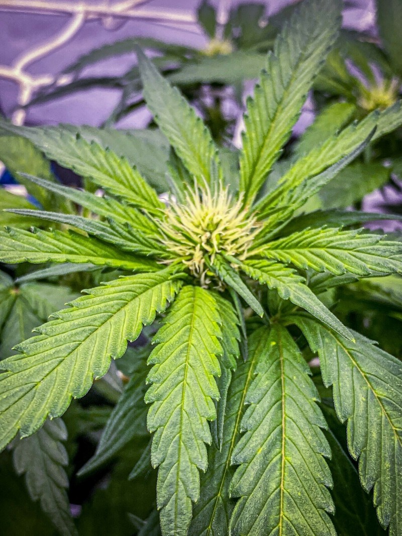 FF283352-DC18-422E-A934-4FAE1263AD5E