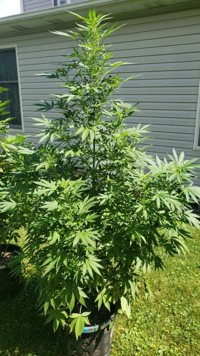 162523912095314853721313685332