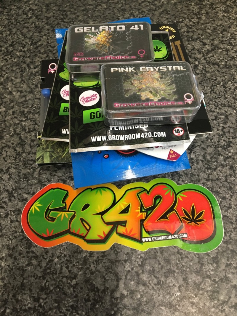 84813264-608B-493A-B52F-14D2A95D5C40