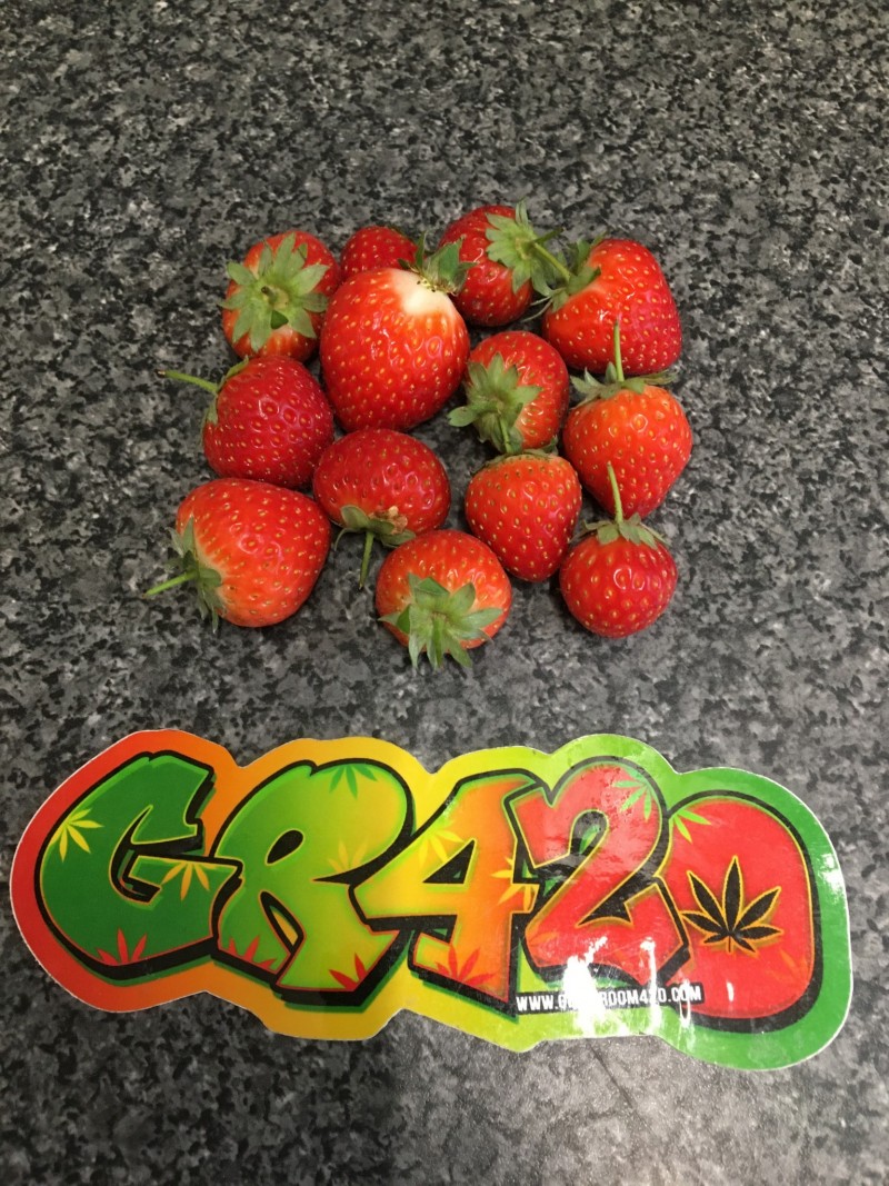 1BFBEB13-A724-4975-98D8-667824EF1AD8