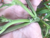 9BE94B38-9850-43A4-A0A2-171D2EC21C76